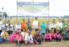 Bupati Edison Serahkan Bantuan Alsintan 