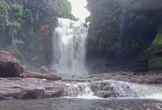Pemekaran Wilayah Kalimantan Tengah: Wacana Pembentukan Enam Kabupaten dan Kota Baru dengan Tantangan Pembangu
