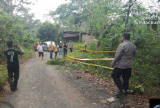 Jalan Penghubung Antar Desa di OKU Nyaris Putus Akibat Longsor
