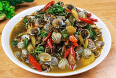 Kerang Dara Kecap Kemangi, Perpaduan Cita Rasa Laut dan Aroma Nusantara yang Kian Digemari