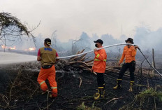 Karhutla Terjadi di 5 Titik Muba, Total 11,5 Hektare Lahan Terbakar