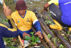 Hari Bumi 2026,Pemkot Palembang Ajak Warga Jaga Kelestarian Sungai Musi