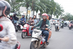 Cara Memilih Ubi Ungu yang Empuk Tanpa Gagal, Dijamin Manis dan Lembut Saat Dimasak