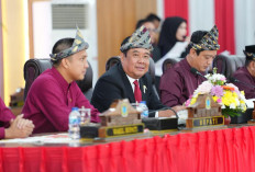 Wagub Cik Ujang Apresiasi Kemandirian Ogan Ilir di Usia ke-22