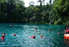Pemekaran Wilayah Kalimantan Timur: Wacana Pembentukan Provinsi Berau Raya dengan Strategi yang Matang