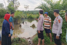 Tak Bisa Berenang, Bocah 9 Tahun Ditemukan Tewas Tenggelam
