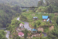 Pemekaran Wilayah Sumatera Selatan: Wacana Pembentukan Empat Provinsi Baru Untuk Kemajuan Daerah Pinggiran