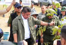 Herman Deru Tanam Pohon Blangeran dan Dorong Percepatan Perbaikan WTP di Kebun Raya Sriwijaya