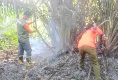 BPBD OKU Padamkan Karhutla di Lima Titik Hotspot