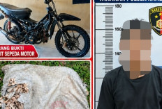 Curi 40 Kg Getah Karet, Residivis Dibekuk Polisi