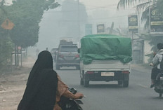 Pengendara Mengeluh! Kabut Asap di Jalintim OKI Ganggu Jarak Pandang