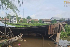 Satu Unit Rumah di Bantaran Sungai Belanti OKI Roboh Diterjang Eceng Gondok