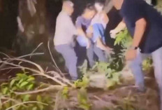 Sempat Dilaporkan Hilang, Siswi SD di Lubuklinggau Ditemukan Bersama Ayah Kandung di Semak-semak Muara Enim