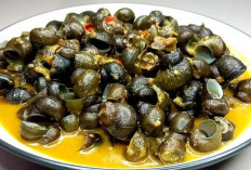 Kuliner Tradisional Tutut Saus Padang Semakin Diminati, Jadi Sajian Favorit Baru di Berbagai Daerah