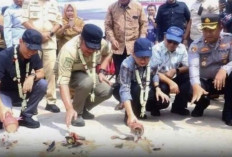 Resmikan Jalan CSR OKI Pulp, Herman Deru Dorong Sinergi Korporasi 