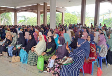 Tak Hanya Insentif, Pekerja Sosial Prabumulih Dapat Jaminan BPJS Ketenagakerjaan dan Reward Umrah Gratis
