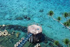 Pemekaran Wilayah Sulawesi Selatan: Wacana Pembentukan 13 Kabupaten dan Kota Baru Sebagai Strategi Pembangunan