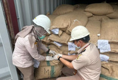 Sertifikasi Kopi Robusta Pagaralam: Balai Karantina Sumsel Jamin Aman Masuk Pasar Australia