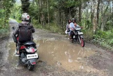 Jalan ke Talang Aman Batukuning OKU Rusak Parah