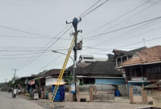 PLN ULP Kayu Agung Tingkatkan Keandalan Listrik di Tulung Selapan Lewat Uprating Penyulang Tenggiri