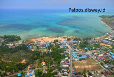Pemekaran Wilayah Kepulauan Riau: Pembentukan Kabupaten Natuna Barat Jadi Solusi Percepat Pembangunan