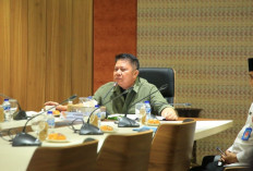 Herman Deru Tancap Gas Percepat Listrik Masuk Desa, Bersinergi dengan Kementerian Kehutanan dan PLN
