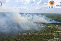 Kabupaten OKI Masuk Zona Oranye Karhutla, BPBD Imbau Jangan Buka Lahan dengan Cara Membakar