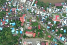 Pemekaran Wilayah Kalimantan Tengah: Wacana Provinsi Kalteng Barat Menguat Sebagai Pusat Energi Terbarukan