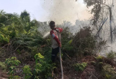 Kebakaran Lahan Terjadi di desa Medak Muba, PT Tiesico Cahaya Pertiwi Kerahkan Tim Pemadam