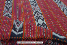 Pemekaran Wilayah Papua Barat Daya: Wacana Pembentukan Kabupaten Raja Ampat Utara Dengan Kekayaan Bawah Laut