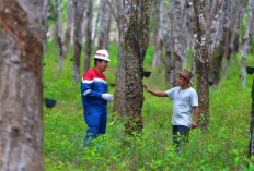 PGN Group Raih Penghargaan PROPER EMAS dan HIJAU 2025, Bukti Konsistensi Inovasi Sosial dan Lingkungan
