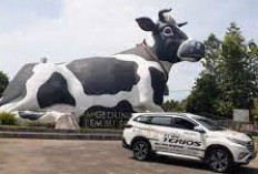 Pemekaran Wilayah Jawa Tengah: Wacana Pembentukan Provinsi DIS Dengan 7 Kabupaten dan Kota Bergabung