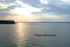 Pemekaran Wilayah Jambi: Wacana Pembentukan Kabupaten Merlung Tungkal Ulu Berpotensi Besar untuk Berkembang