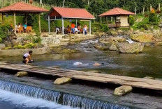 Pemekaran Wilayah Sumatera Selatan: Usulan Pembentukan Provinsi Palapa Selatan Untuk Administratif Baru