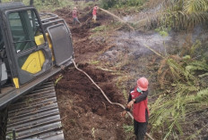 PT Tripupa Jaya Kerahkan 54 Personel dan Heli Water Bombing Padamkan Karhutla di Muara Medak
