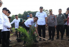 Perkuat Sektor Pertanian, Pemkot Prabumulih Laksanakan Kegiatan Tebas Tebang Lahan Pertanian
