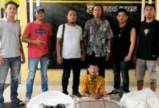 Curi Atap Kanopi Rumah Muginem, Buruh Harian di Prabumulih Diciduk Polisi