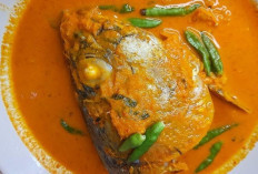 Gulai Kepala Ikan Tuna, Hidangan Nusantara yang Kaya Rasa dan Tradisi