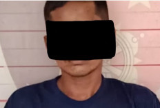 Kepergok Curi Sawit, Warga Lubai Ulu Muaraenim Ditangkap Polisi