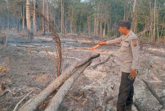 BRIN Pantau Hotspot  di Wilayah Desa Hidup Baru