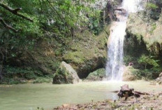 Pemekaran Wilayah Kalimantan Timur: Wacana Pembentukan Kabupaten Kutai Utara Hadapi Tantangan Infrastruktur