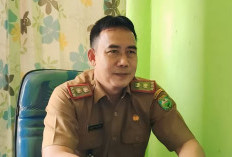 Dinkes OKU Catat Penambahan 25 Kasus DBD Selama November 2025