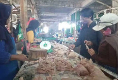 Harga Telur di OKU Kini Rp24 Ribu Perkilogram