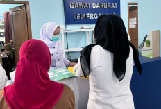 Tangis Bayi Perempuan Terdengar di Semak Belukar 