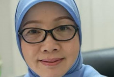 Dinkes Siapkan Inovasi Daftarkan NIK Bayi Baru Lahir