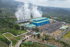 Penjualan REC Capai 6,43 TWh di 2025, Energi Bersih Semakin Diminati Sektor Industri dan Bisnis