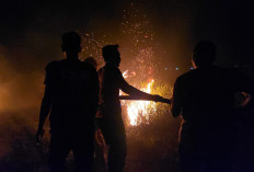 Kebakaran Lahan Gambut di Ogan Ilir Meluas, Petugas Kerahkan 35 Personel Lakukan Pemadaman