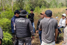 Geger, Warga Gelumbang Temukan Mayat Lansia di Kebun Karet