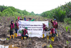 Rawat Alam di Tengah Aktivitas Industri, Kilang Plaju Konsisten Lestarikan Keanekaragaman Hayati