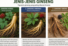 Ginseng, Herbal Legendaris dari Asia yang Menyimpan Beragam Khasiat bagi Kesehatan